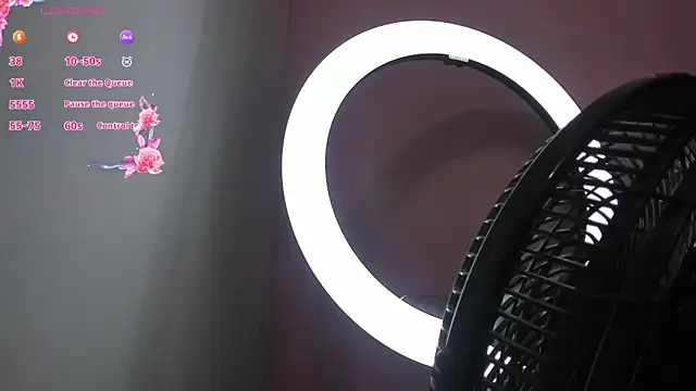 NaylaAbadi online show from December 4, 2025, 12:26 pm