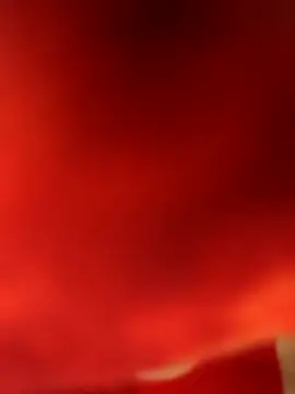 Ragner-6 9 online show from March 9, 2026, 8:01 pm