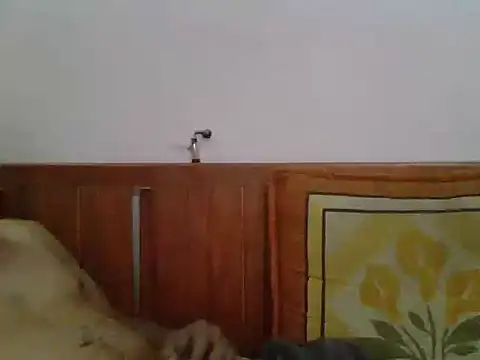 pareja4018 online show from November 18, 2025, 4:49 am