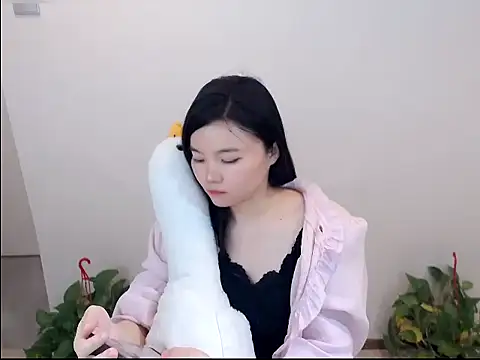 Shaurk online show from January 19, 2026, 8:18 am