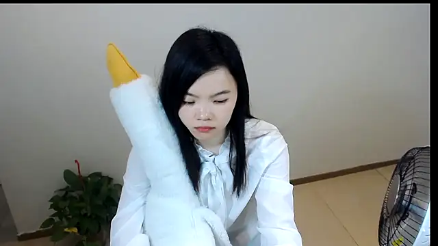 Shaurk online show from February 24, 2026, 2:45 am