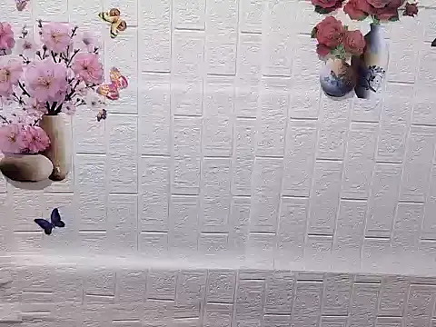 Site-loe online show from February 18, 2026, 1:03 am