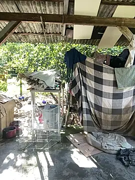 Snapshot of Monahliza chatting on February 11, 2026, 11:32 am Monahliza online show from February 11, 2026, 11:32 am