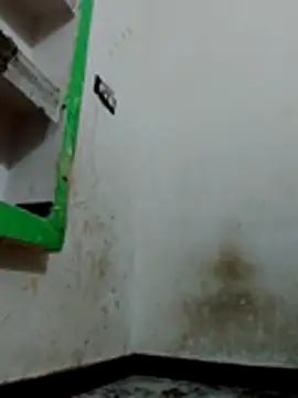 Bigg bhabi online show from January 12, 2026, 11:31 pm