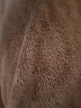 Alinasis23 online show from November 25, 2025, 11:43 am