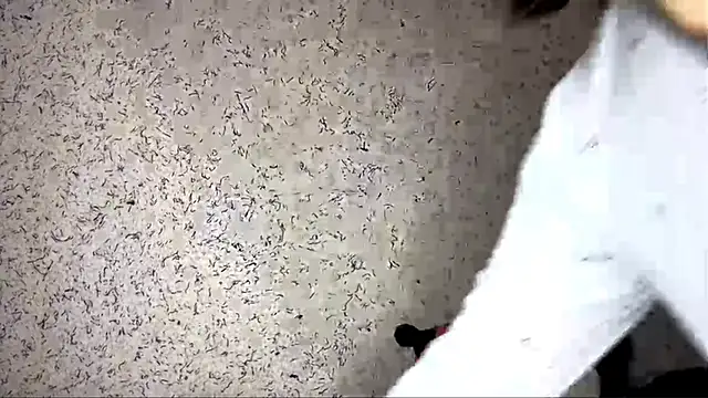 EchoSoul online show from December 4, 2025, 2:16 pm