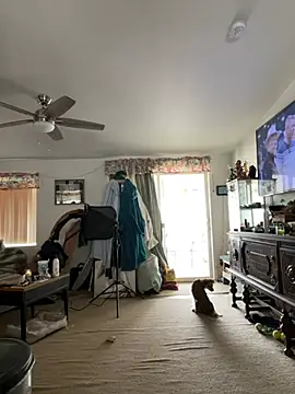 Snapshot of tsashelayamylynzy chatting on February 11, 2026, 9:14 pm tsashelayamylynzy online show from February 11, 2026, 9:14 pm