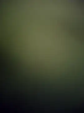 Virginass2000 online show from January 10, 2026, 4:08 am