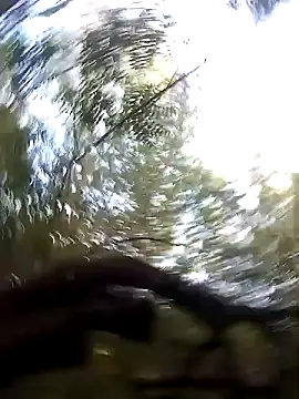 juunioreest online show from January 10, 2026, 10:49 pm