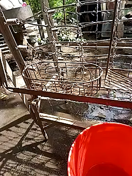 juunioreest online show from November 25, 2025, 5:35 pm