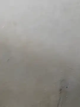 fpic online show from February 3, 2026, 11:37 am