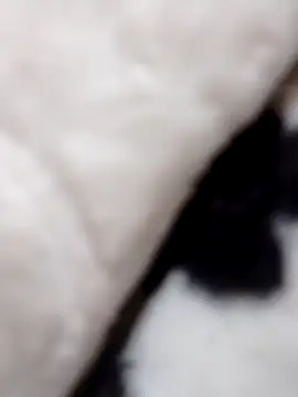 fati35flou online show from December 21, 2025, 6:42 pm