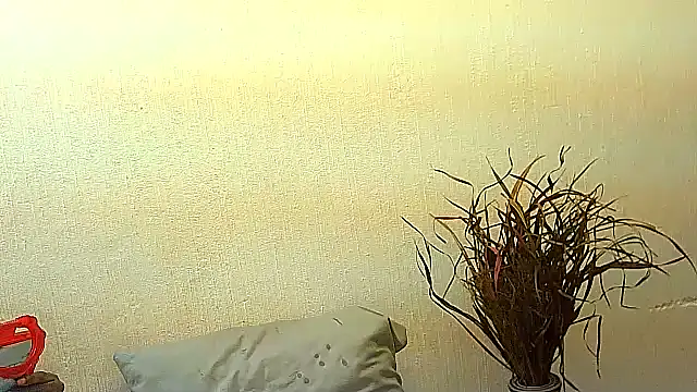Snapshot of BrunetteNaomi8 chatting on July 4, 2026, 8:02 pm BrunetteNaomi8 online show from July 4, 2026, 8:02 pm