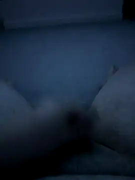 Snapshot of -bfc1882- chatting on November 29, 2025, 12:44 am -bfc1882- online show from November 29, 2025, 12:44 am