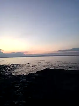 nocosensual online show from July 8, 2026, 6:52 pm