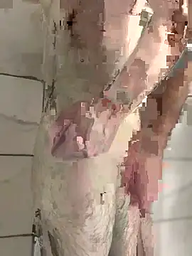 strippingmale1 online show from December 15, 2025, 4:07 am