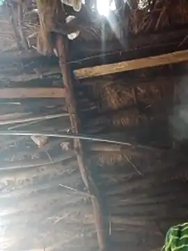 Xxx suhana online show from February 2, 2026, 3:49 am