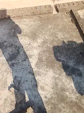 apka rockstarr online show from February 14, 2026, 3:40 am