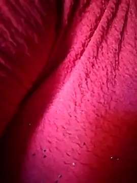 Pariraja hot online show from February 7, 2026, 10:56 am