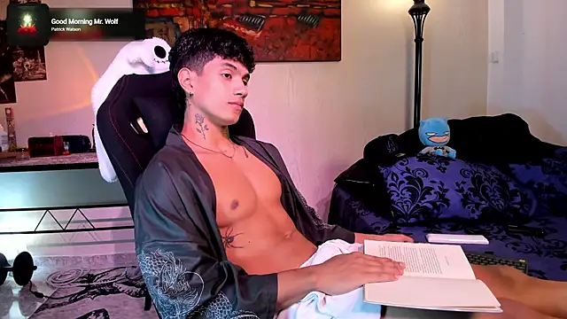 Snapshot of aress_damon chatting on February 19, 2026, 6:49 pm aress damon online show from February 19, 2026, 6:49 pm