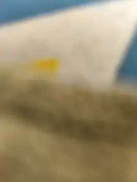 paro22 sex online show from February 14, 2026, 5:13 pm