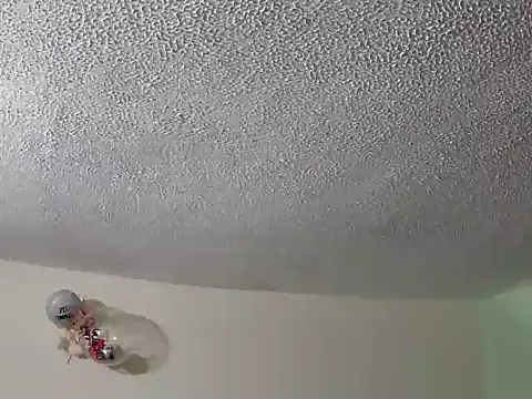 Snapshot of ashleey_palmer chatting on December 2, 2025, 1:39 am ashleey palmer online show from December 2, 2025, 1:39 am