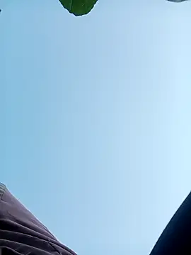 nangmo online show from November 30, 2025, 12:11 am