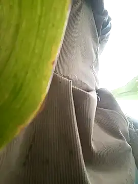 Snapshot of nangmo chatting on July 17, 2026, 11:46 pm nangmo online show from July 17, 2026, 11:46 pm