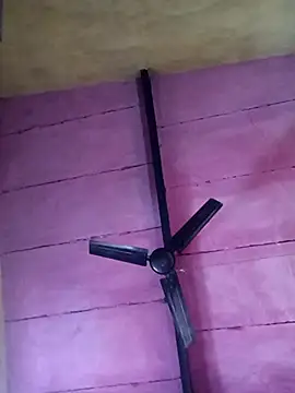 Pooja hote online show from December 20, 2025, 11:02 am