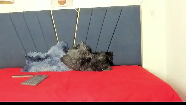 naomi x0 online show from January 18, 2026, 1:14 pm