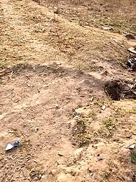 desi alpha boy online show from February 4, 2026, 2:06 am