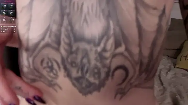 BobbieNibbe online show from February 3, 2026, 6:22 am