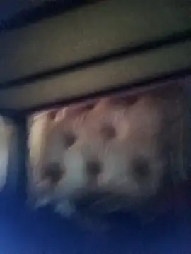 Snapshot of Cuteyuuboy2086 chatting on January 13, 2026, 1:04 pm Cuteyuuboy2086 online show from January 13, 2026, 1:04 pm