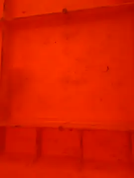 virgin cunt online show from November 29, 2025, 12:05 pm