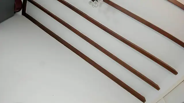 IsaSantoDomingo online show from January 16, 2026, 10:58 pm