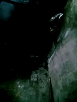 mumu661 online show from February 3, 2026, 5:05 am