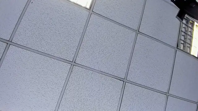 Alyssa Noah online show from April 21, 2026, 2:51 am