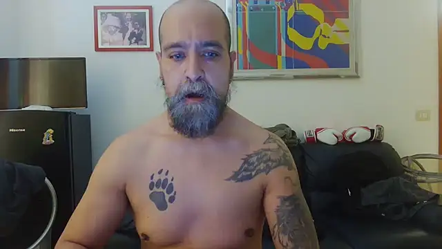 Snapshot of AMIRDIB2025 chatting on June 15, 2026, 1:55 pm AMIRDIB2025 online show from June 15, 2026, 1:55 pm