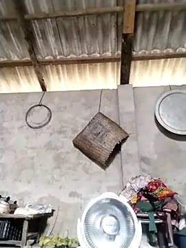 LeoPet2x online show from March 16, 2026, 5:44 am