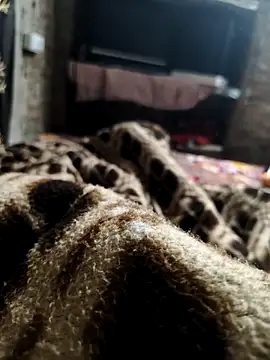 Snapshot of NEW_CPL786 chatting on December 5, 2025, 2:43 am NEW CPL786 online show from December 5, 2025, 2:43 am