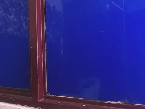 Snapshot of vrositaper chatting on December 1, 2025, 9:15 pm vrositaper online show from December 1, 2025, 9:15 pm