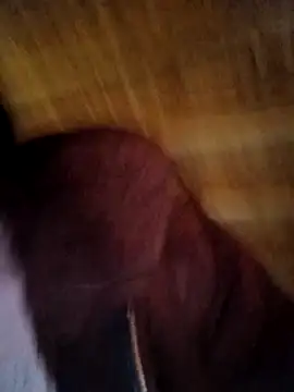 Snapshot of Evelyn-n chatting on February 11, 2026, 6:57 am Evelyn-n online show from February 11, 2026, 6:57 am