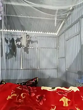 Snapshot of Evelyn-n chatting on March 8, 2026, 1:33 am Evelyn-n online show from March 8, 2026, 1:33 am