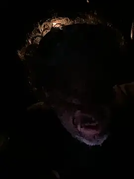 Snapshot of Petebulimia chatting on March 13, 2026, 1:54 am Petebulimia online show from March 13, 2026, 1:54 am
