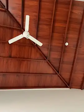 Snapshot of Dahan99346 chatting on December 18, 2025, 6:18 am Dahan99346 online show from December 18, 2025, 6:18 am