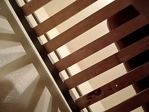 Snapshot of moneytalk516 chatting on March 19, 2026, 9:20 am moneytalk516 online show from March 19, 2026, 9:20 am