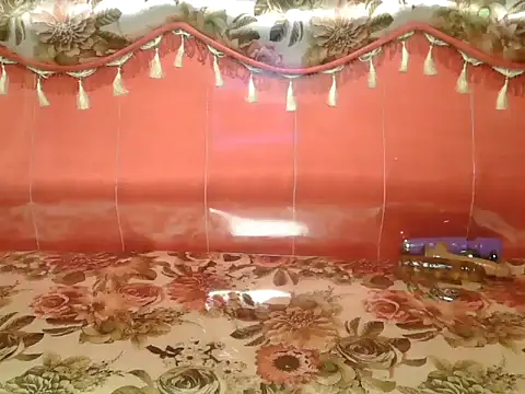 Snapshot of Bristi_03 chatting on February 19, 2026, 3:03 am Bristi 03 online show from February 19, 2026, 3:03 am