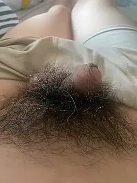 Snapshot of hairylittledic chatting on July 8, 2026, 11:38 pm hairylittledic online show from July 8, 2026, 11:38 pm