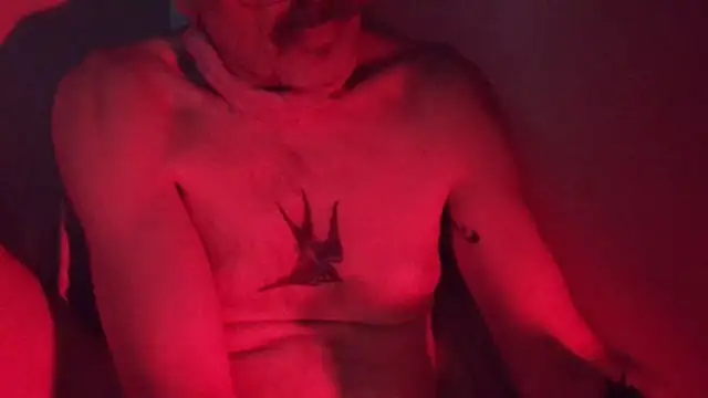 SubTotal  online show from February 10, 2026, 4:33 am