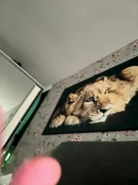 Snapshot of Alexmarcov chatting on January 18, 2026, 10:18 am Alexmarcov online show from January 18, 2026, 10:18 am